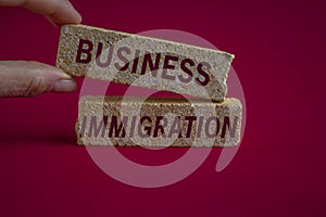 Brick blocks with words business immigration on wooden table. Red background.