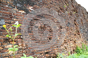 Brick in Dong Hoi citadel wall, Quang Binh, Viet Nam 2