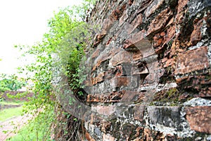 Brick in Dong Hoi citadel wall, Quang Binh, Viet Nam