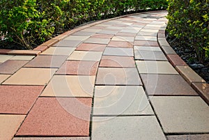 Brick floor pathway with cut bush in both side
