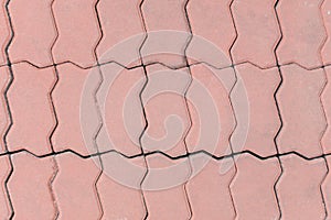 Brick floors worm