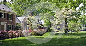 Brick homes, green lawns and blooming spring azaleas and dogwoods photo