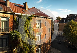 Brick house covered in luscious vegetation in central Brussels at golden hour