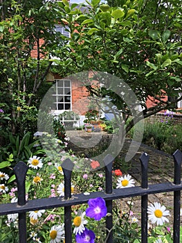 Brick house with garden full of flowers, Norwich, East Anglia, UK