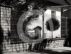 Brick and metal mesh fence with shrubs and small evergreen tree