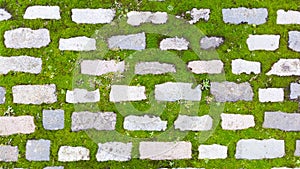 Brick path with moss. Background. Photo. Nobody.