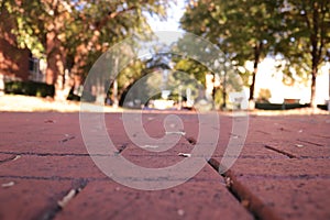 The brick path outside J. Murrey Atkins Library at UNC Charlotte photo
