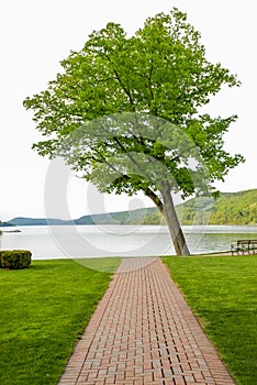 Brick Pathway to Calm Lake