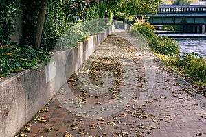 Brick paved river path
