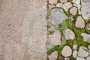 Brick pavement blocks. Cobbled pavement. Green moss on old stone footpath. Road pavement, grass green. Moss trying to grow inbetwe