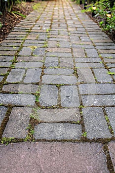 Brick Pavers Garden Path