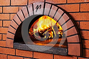Brick Pizza Oven photo