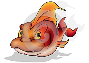 Brick-red-orange Sea Fish