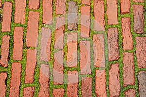 Brick roadway