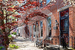 Brick row houses on a leafy street in Madison, Indiana