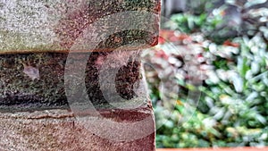 The brick and spider webs