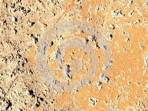 Brick or stone close-up. Texture or background. Bright red, brown, orange, beige colors. Dust, small pebbles, sand, soil and moss