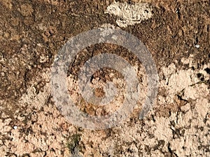 Brick or stone close-up. Texture or background. Bright red, brown, orange, beige colors. Dust, small pebbles, sand, soil and moss