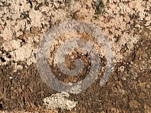 Brick or stone close-up. Texture or background. Bright red, brown, orange, beige colors. Dust, small pebbles, sand, soil and moss