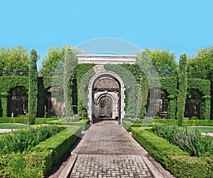 Brick stone garden path and Topiary