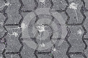 Brick Stone Texture with Splashes