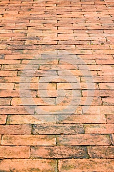 Brick walk way in garden as background