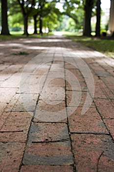 Brick Walkway