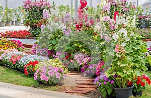 Brick walkway in flower garden