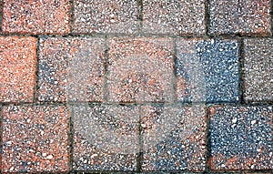 Brick Walkway texture