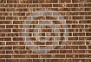 Brick Wall Background