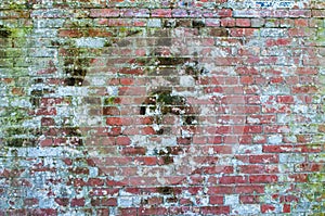 Brick wall background