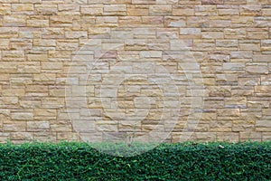 Brick wall background with green