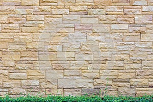 Brick wall background with green leaf floor