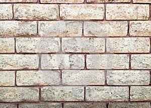 Brick Wall Background