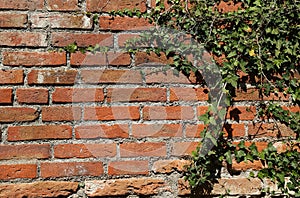 Brick wall background texture