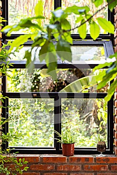 Brick wall with big window, greenery patio area