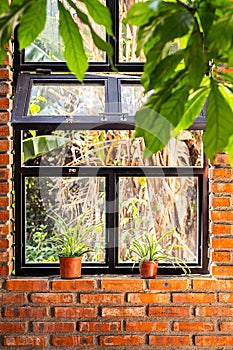 Brick wall with big window, greenery patio area