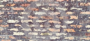 Brick wall. Ceramic masonry or fence. Old, uneven brick, covered in moss and mold in some places. The texture of the stone or