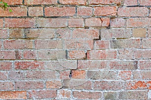 Brick wall cracking