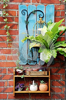 Brick wall decorate with plant