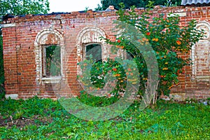 A brick wall of destroyed house