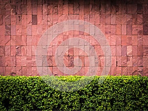 Brick wall and fence bush