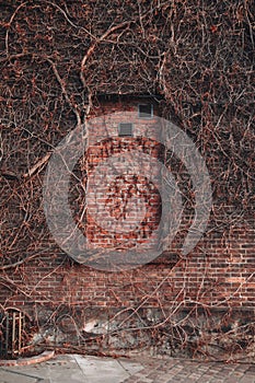 Brick wall with foots on in shape of window outdoor