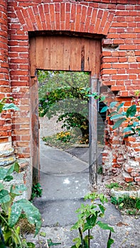 The brick wall, the frame of the door, the old broken door, the brick to be dismantled, in the summer in the city.