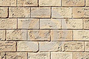 Brick wall made of shellfish