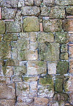 Brick wall with moss