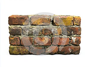 A brick wall with moss growing on it