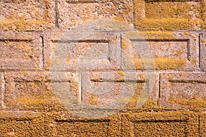 Brick wall with moss growing out of it