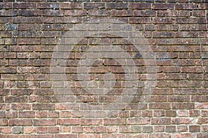 Brick wall in natural color background