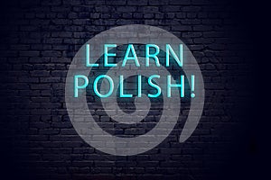 Brick wall and neon sign with inscription. Concept of learning polish